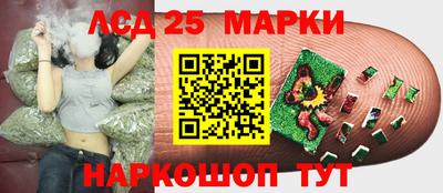 гидропоника Малоярославец