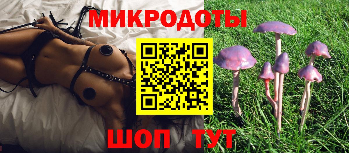 Псилоцибиновые грибы Magic Shrooms Шатура