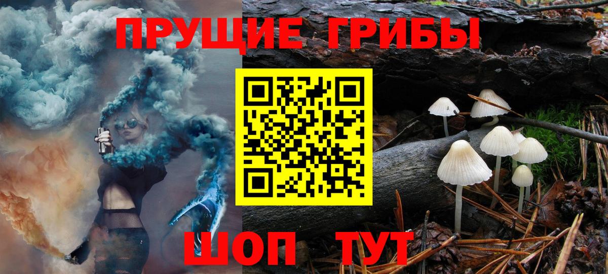 даркнет сайт  Псилоцибиновые грибы Magic Shrooms  Вход с VPN  Шатура 